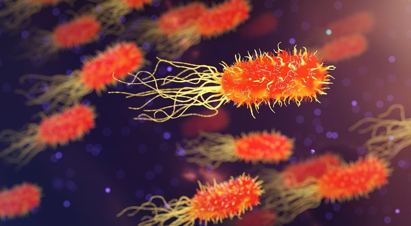 Microbial Life